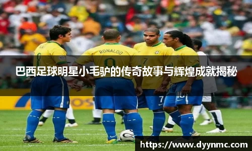 巴西足球明星小毛驴的传奇故事与辉煌成就揭秘